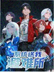 歌手的第二人生 海报